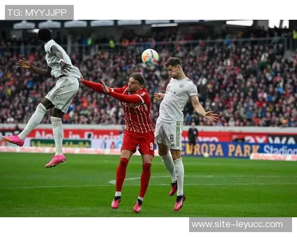 德甲最新积分榜分析拜仁强势领跑多特霍村紧随其后药厂表现平平